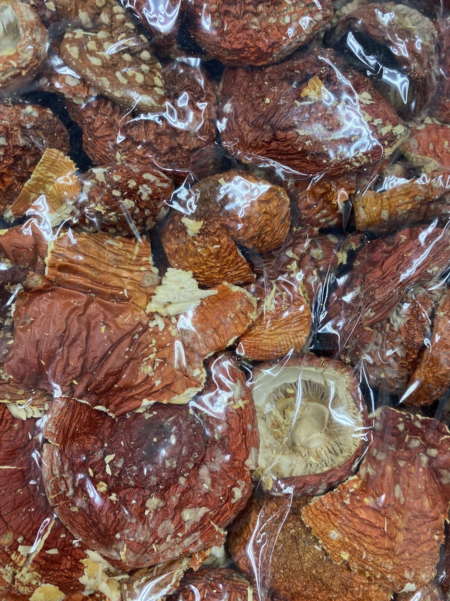 Bulk Amanita Muscaria Mushrooms for Sale - 500mg