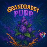 Bulk Grand Daddy Purp Terpenes