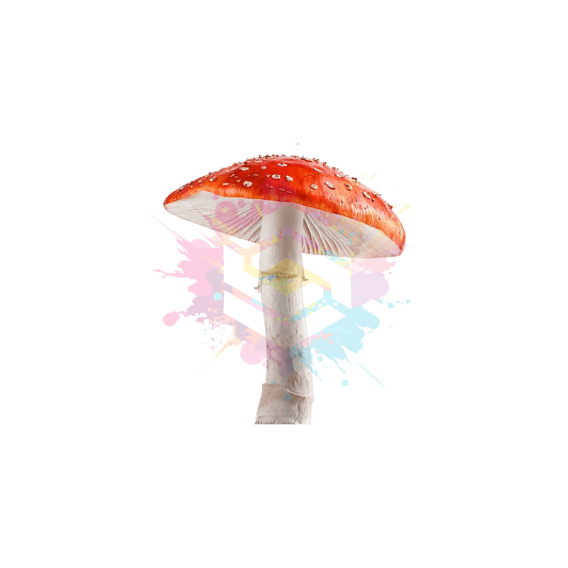 Bulk Amanita Muscaria Mushrooms for Sale - 500mg