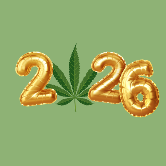 Ghost Perspectives: What’s Next For Hemp in 2026