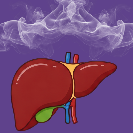 Hemp Science: Why Your Liver Controls Your High