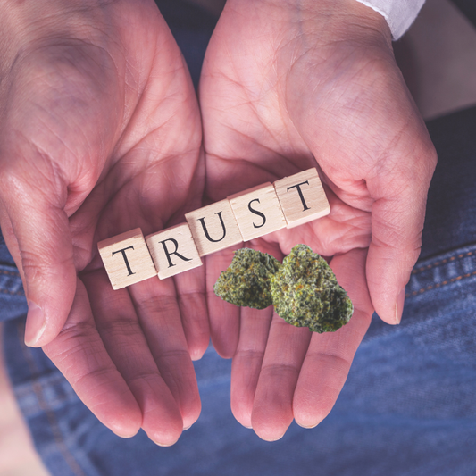 Ghost Perspectives: The New Loyalty — How Trust Creates Lifetime Value