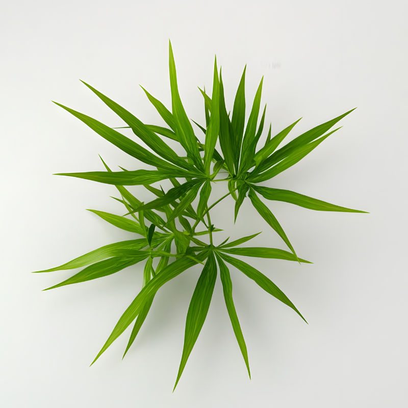 THCA Buyer’s Guide