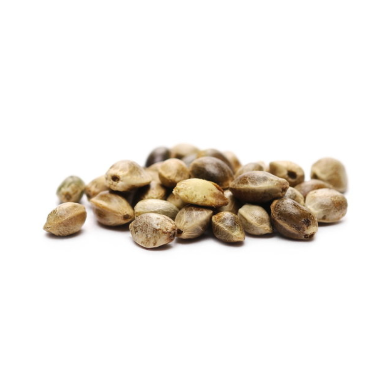 Cannabis Seeds