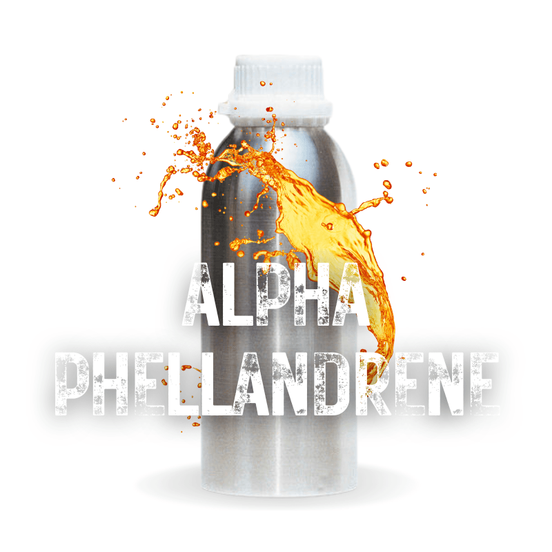 Bulk Alpha-Pinene Terpenes Terpenes