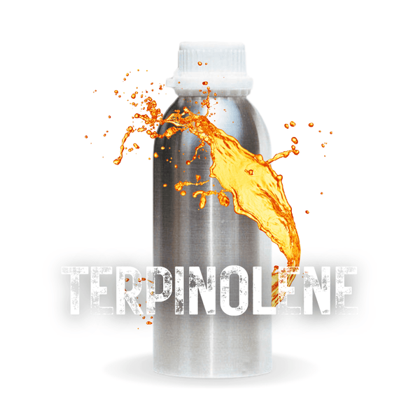 Bulk Terpinolene Terpenes Terpenes