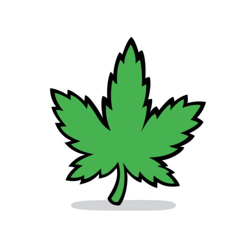 Green cannabis leaf on a white background