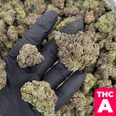 Buy Exotic THCa Flower Online - Exotic THCA Buds for Sale 1 GRAM / White Apple Tartz [H] [EXOTIC] [NEW!] Energy