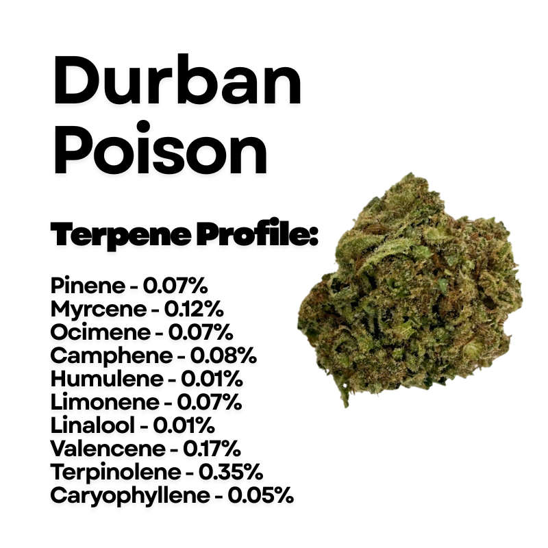 Durban Poison Delta 9 THCA Flower