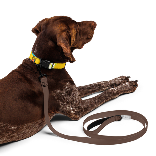 Ghost Pet Collar