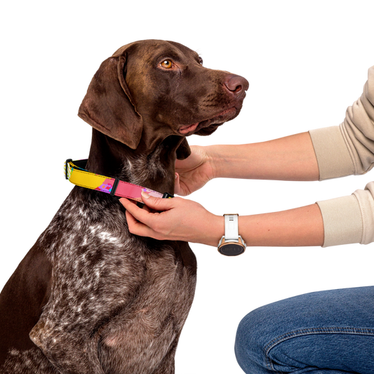 Ghost Pet Collar