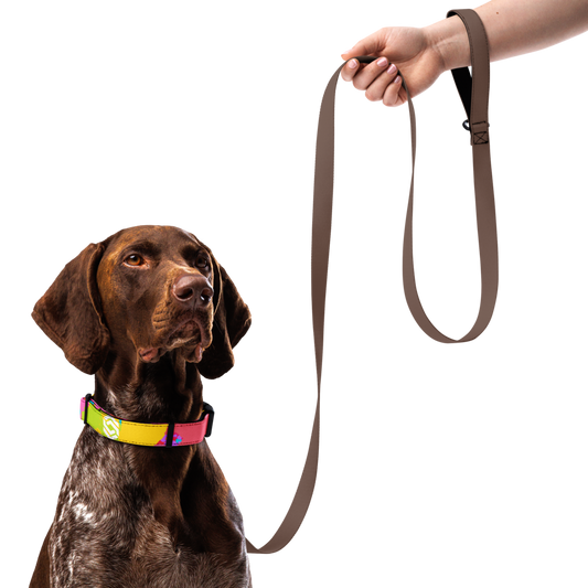 Ghost Pet Collar